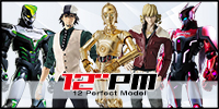 12 Perfect Model(12